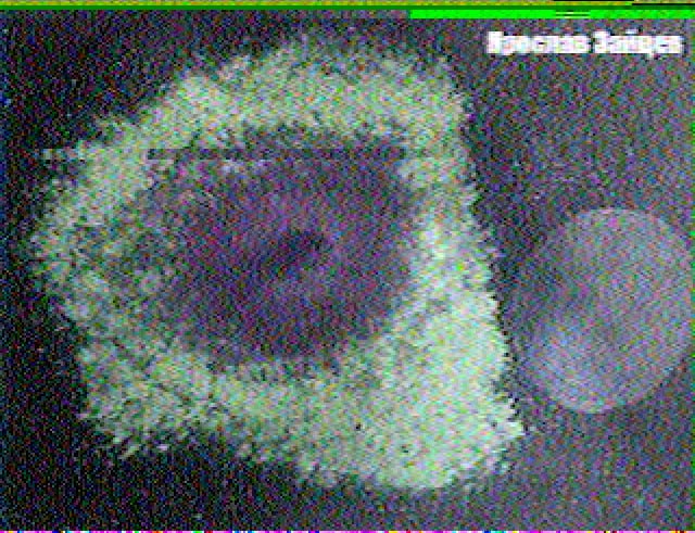 Наши рисунки передали из космоса!😍Максим Самойлов, 6 лет, пока еще не учится в школе! Он нарисовал Луну и звезды! Недавно мы с ним наблюдали месяц в бинокль, и ему очень понравилось. 