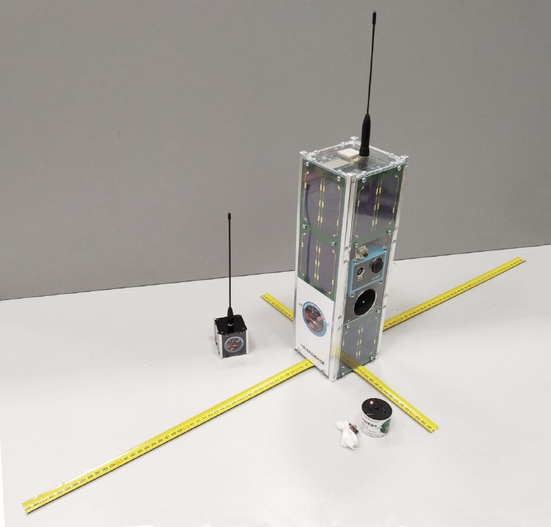 🎈6 июля, 2024 года (суббота), в рамках программы 