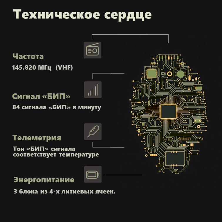 С этого выпуска начинается серия материалов о школьных космических проектах — как зарождались первые инициативы, какое участие в них принимали школьники и как эти проекты повлияли на космическое образование сегодня. В карточках — сжатая справка о самом первом проекте с участием школьников. Для тех, кто хочет углубиться