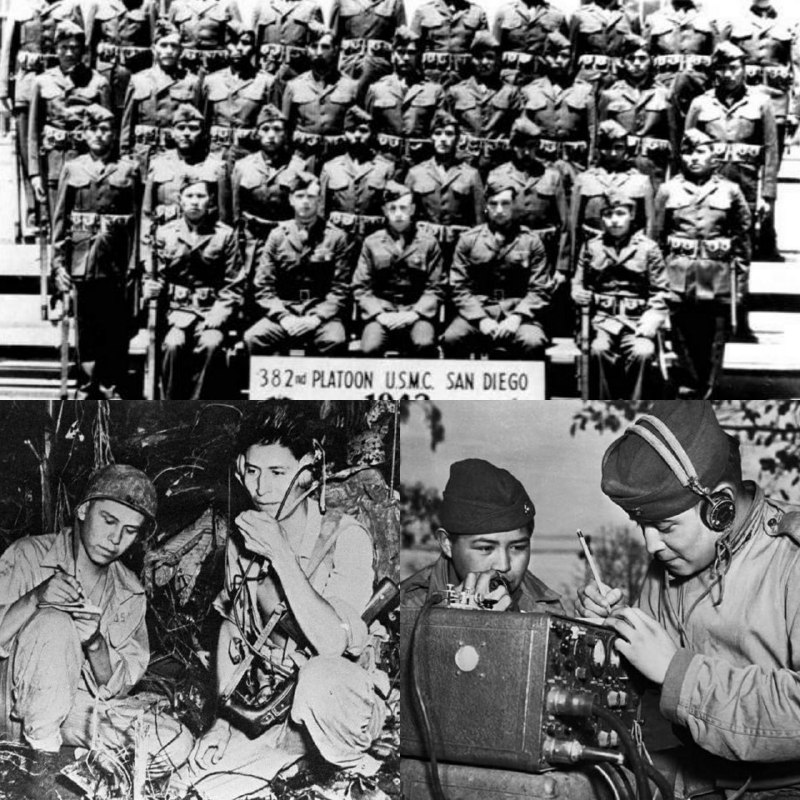 В мае 1942 года была собрана первая группа навахо из 29 человек. Так на базе морской пехоты в Сан-Диего возникла «Школа навахо. Через три месяца первый выпуск радистов навахо был готов. К 1945 году на Тихом океане воевали уже больше 500 индейцев навахо, 400 из них были радистами. Они были во всех шести дивизиях морпехов, диверсионных и парашютных подразделениях и участвовали во всех громких операциях морской пехоты. Шесть индейских радиосетей на острове Иводзима работали круглосуточно.За четыре года войны японцы так и не смогли разгадать код морской пехоты, хотя с другими шифрами американских ВМФ справлялись.